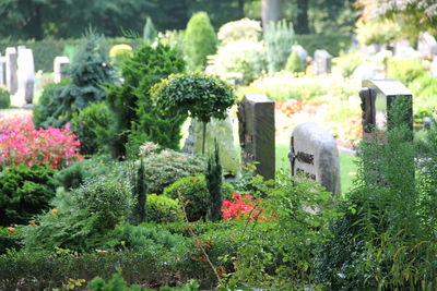Bild vergrößern: Friedhof Neuenwalde