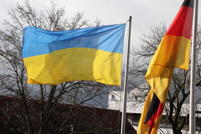 Bild vergrößern: Ukrainische Flagge vor dem Dammer Rathaus