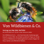 Bild vergrößern: Umweltwoche Vortrag Wildbienen