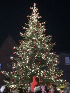 Dammer Weihnachtsbaum wird illuminiert