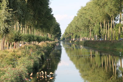 Bild vergr&ouml;&szlig;ern: Damme Belgien Damse Vaart