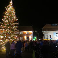 Bild vergr&ouml;&szlig;ern: Dammer Weihnachtsbaum 27.11. Gesamtbild