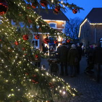 Bild vergr&ouml;&szlig;ern: Dammer Weihnachtsbaum 28.11. Baum