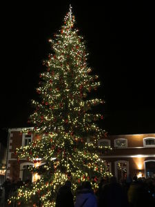Dammer Weihnachtsbaum